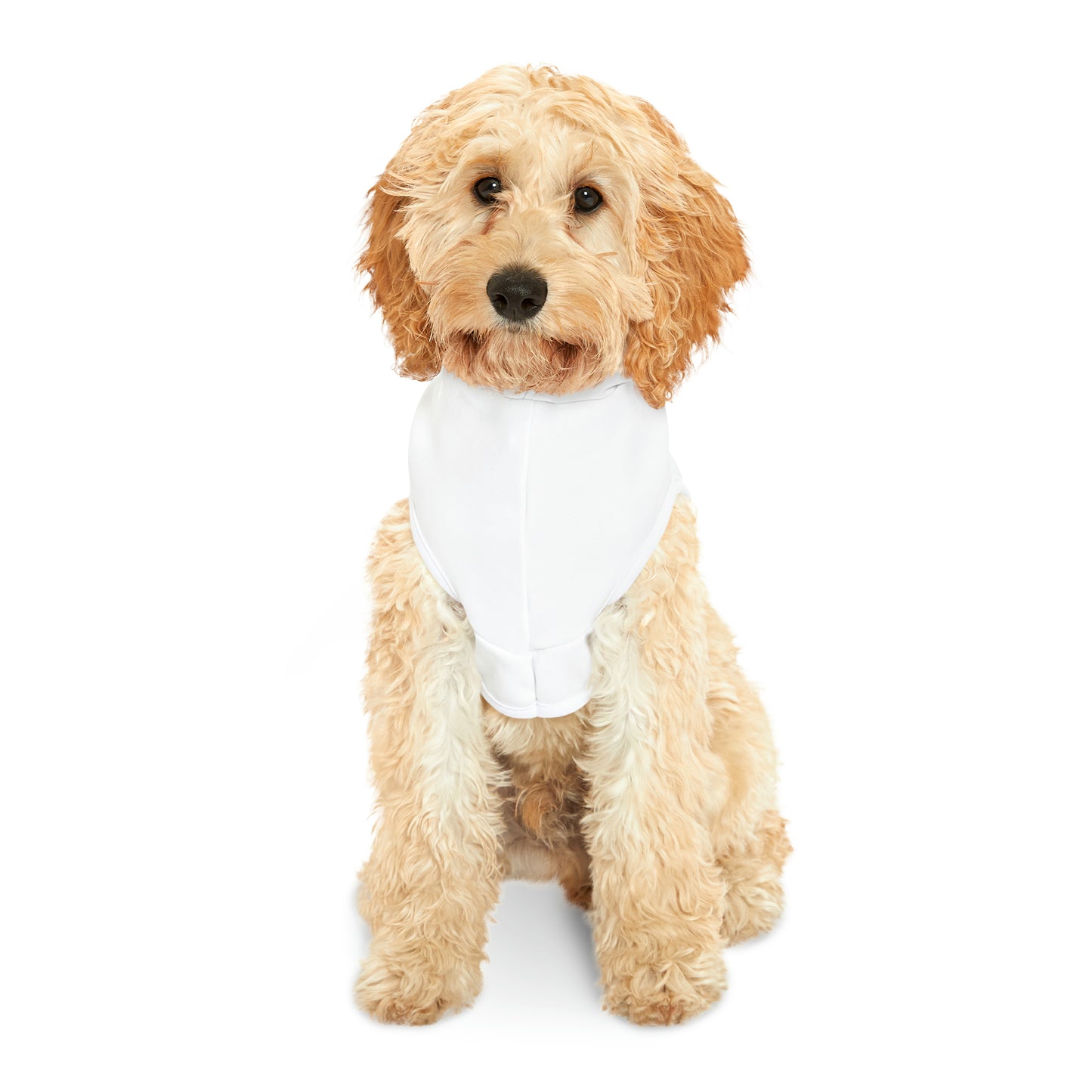 EXCLUSIVE "mymomlovesmemorethanyou" Pet Hoodie