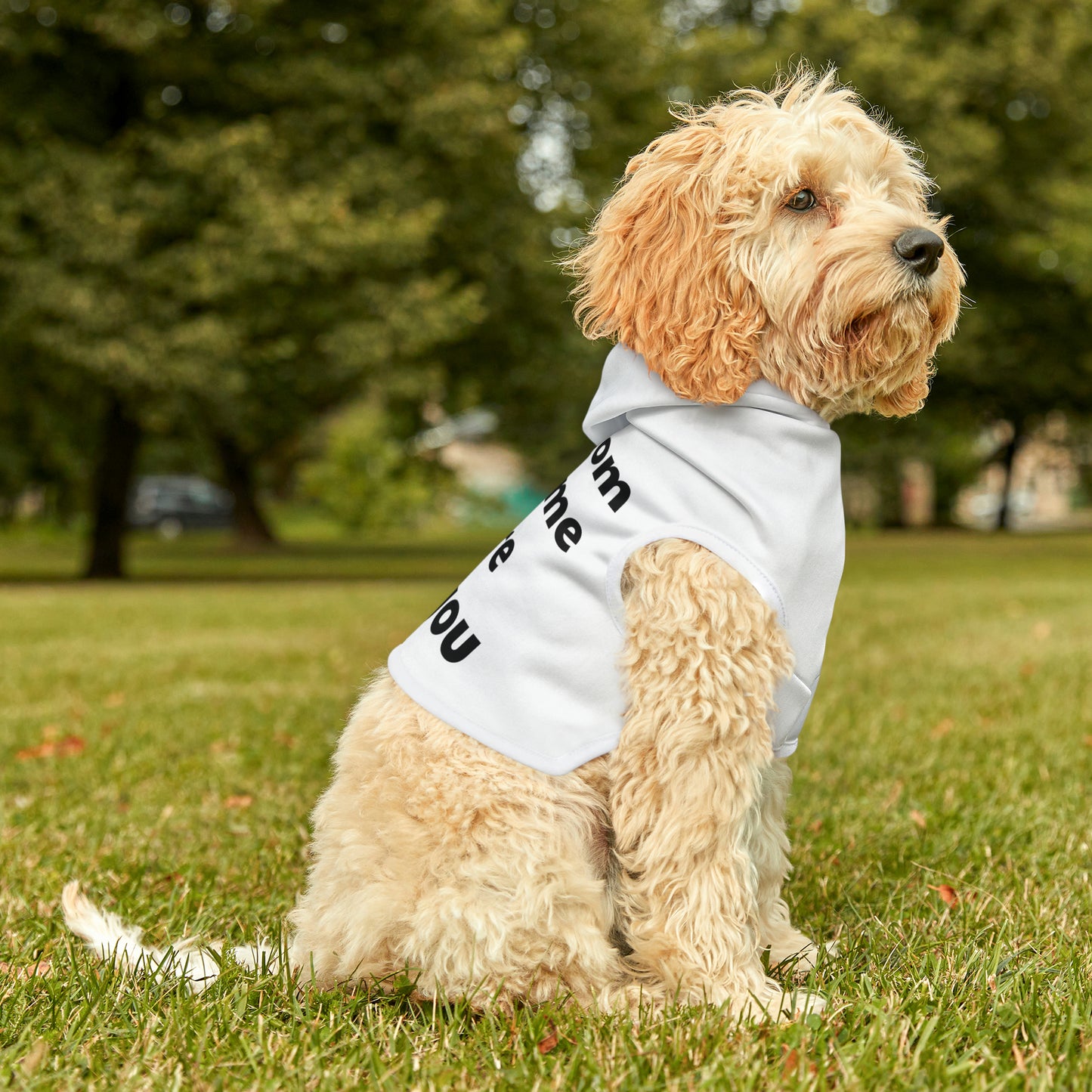 EXCLUSIVE "mymomlovesmemorethanyou" Pet Hoodie